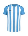 skyblue/white