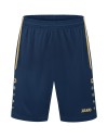 navy/gold