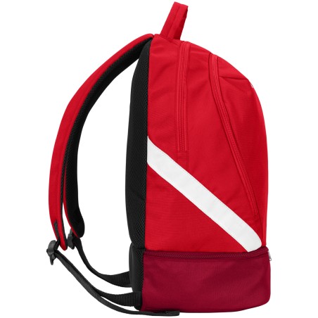backpack Iconic