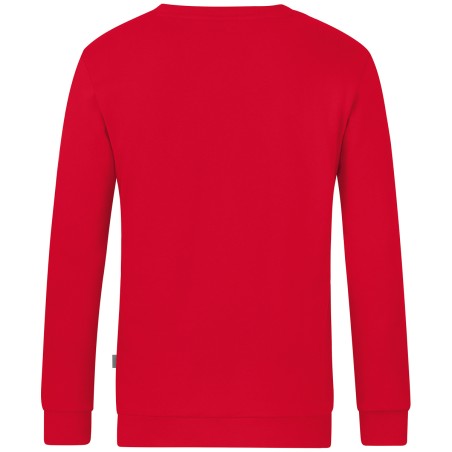 Sweater Organic
