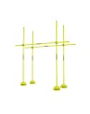 Giallo neon