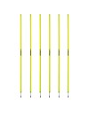 Giallo neon