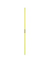 Giallo neon