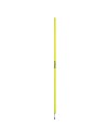 Giallo neon
