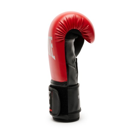 THUNDER BOXING GLOVES