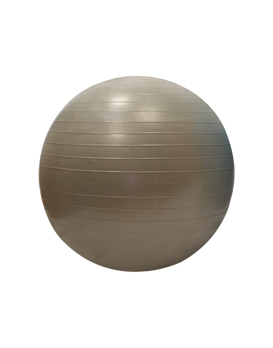 55 cm Gymball