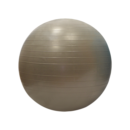 55 cm Gymball
