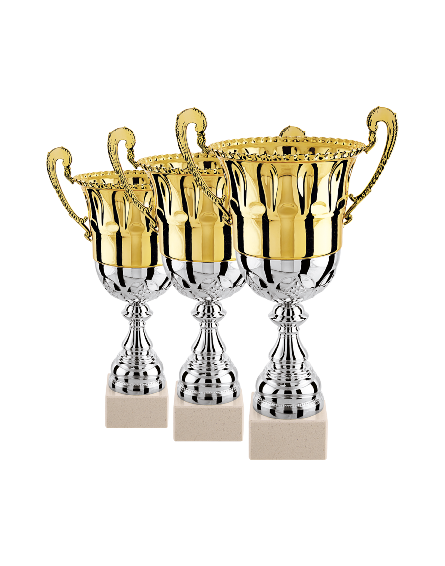 Set of 3 cups