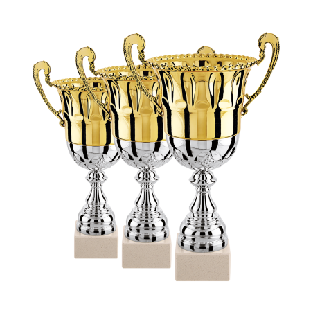 Set of 3 cups