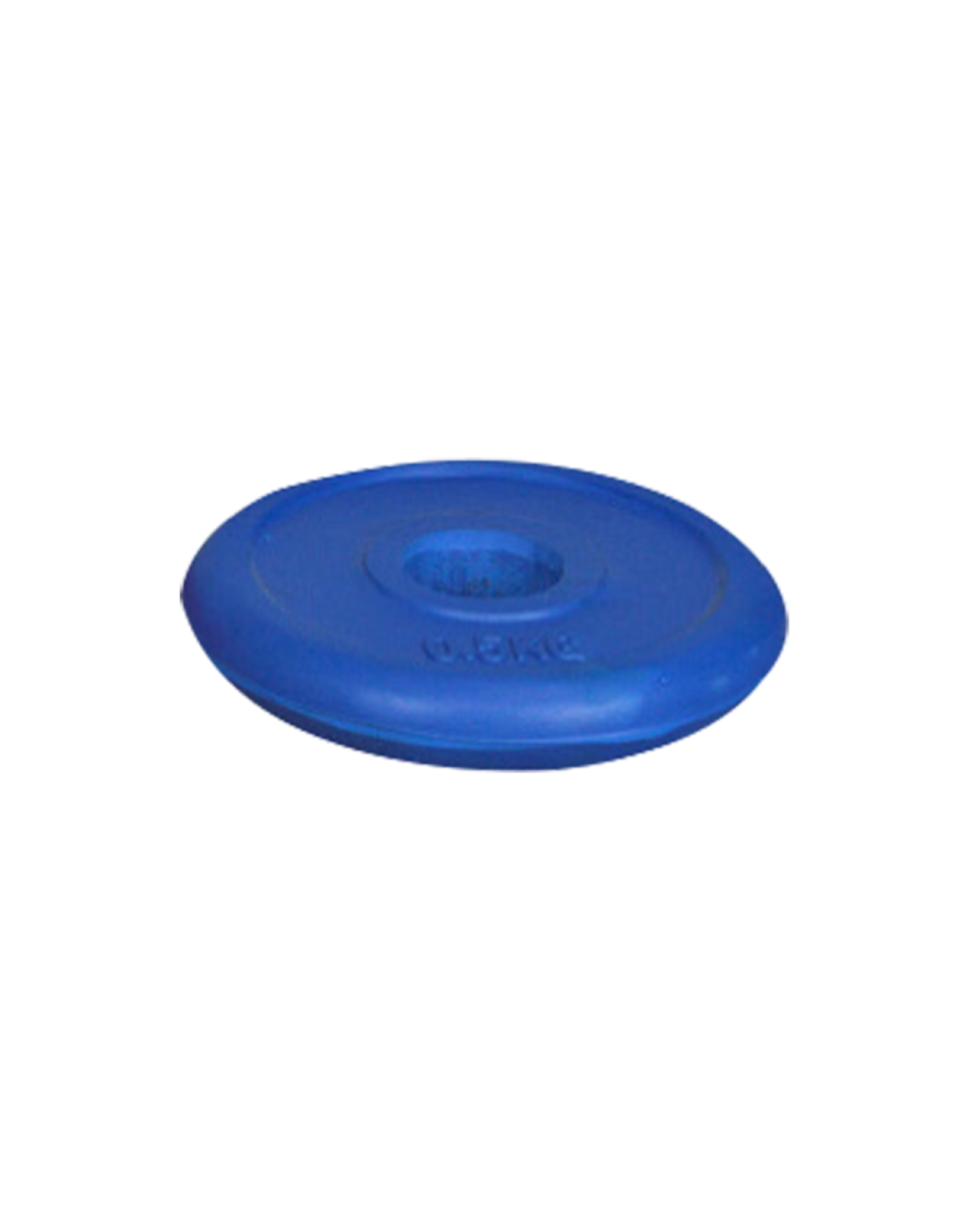 0.5 kg colour weight disc