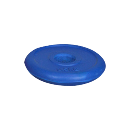 0.5 kg colour weight disc