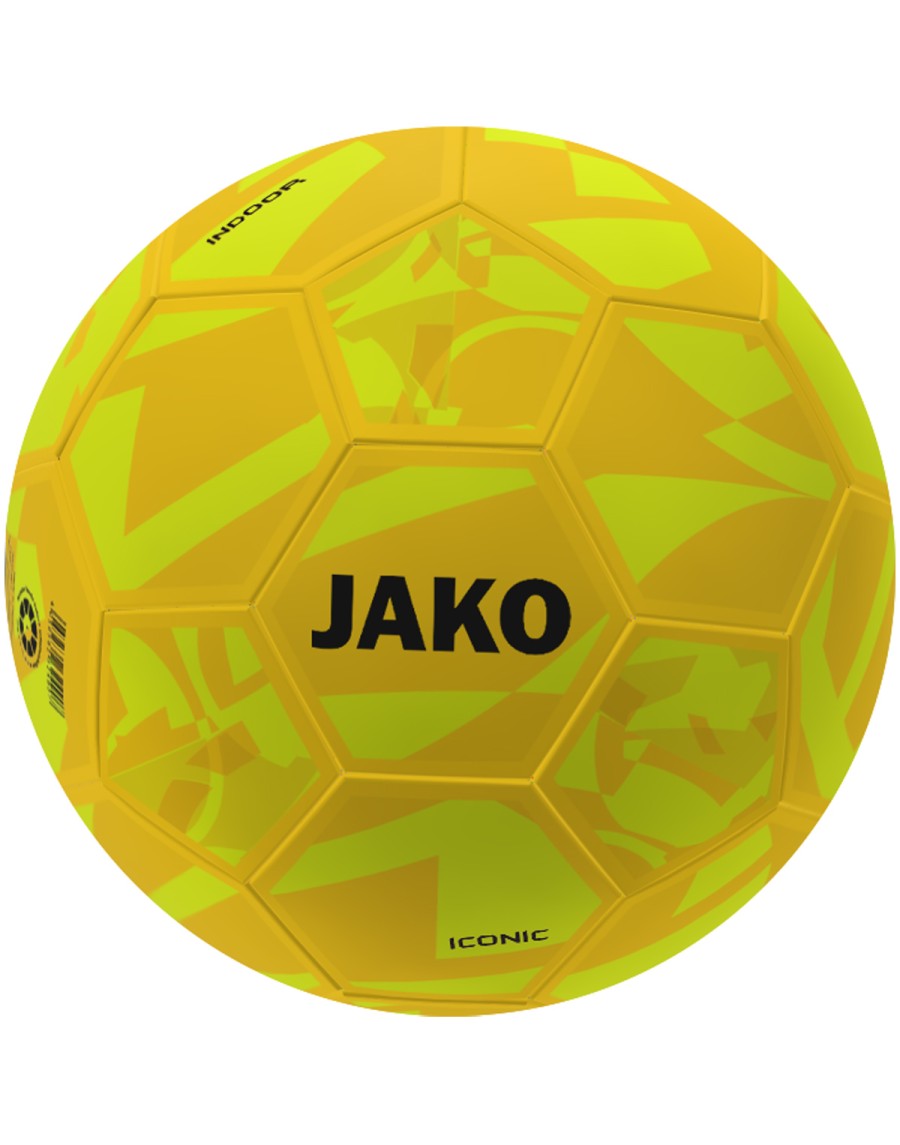 Indoor ball Iconic