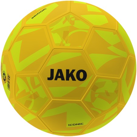 Indoor ball Iconic