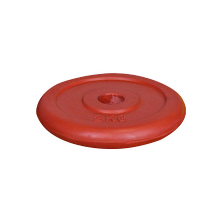 2 kgs colour weight disc