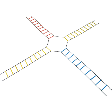Speed ladder for cross positioning
