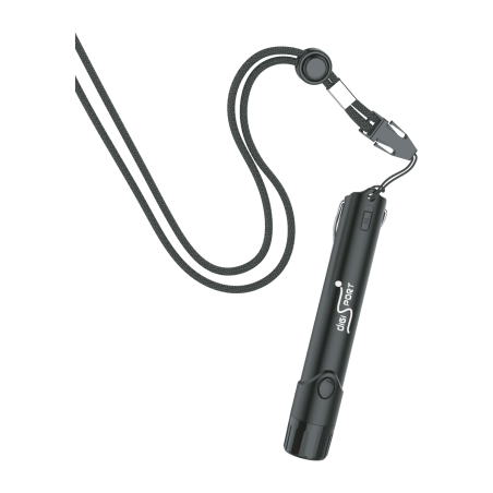 Electronic whistle