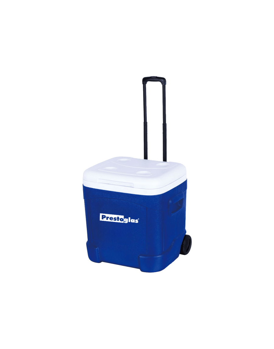 Ice box on wheels - 55L