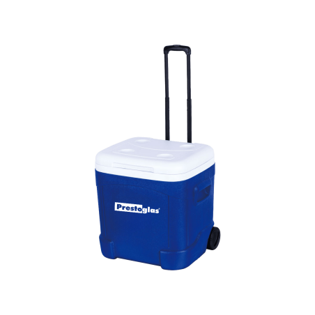 Ice box on wheels - 55L