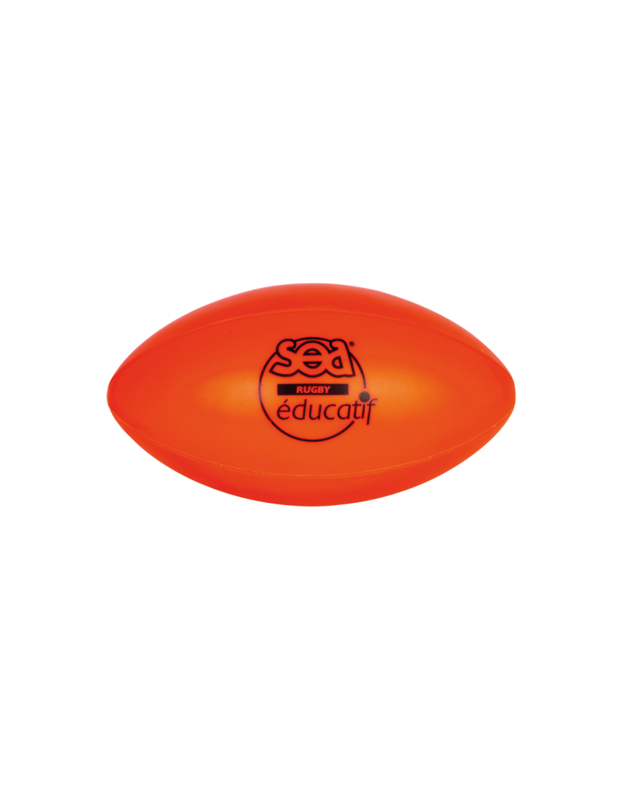 Educational rugby ball