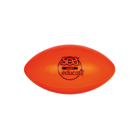Educational rugby ball