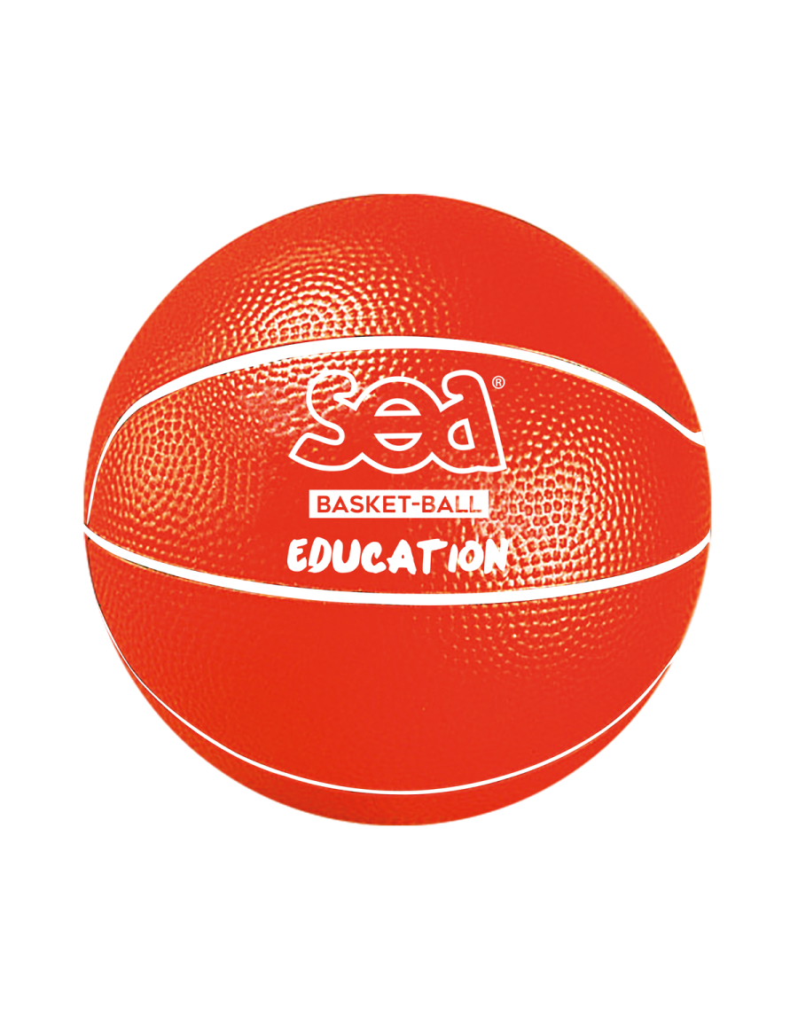 Discovery basketball