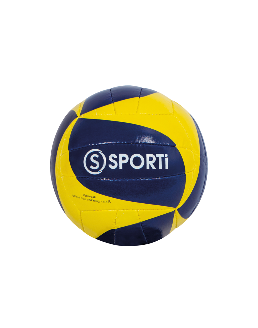 Training volleyball