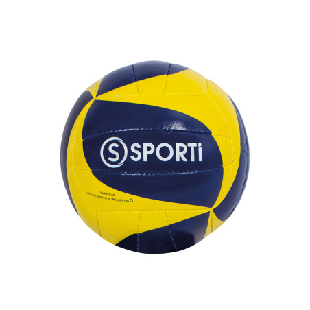 Training volleyball