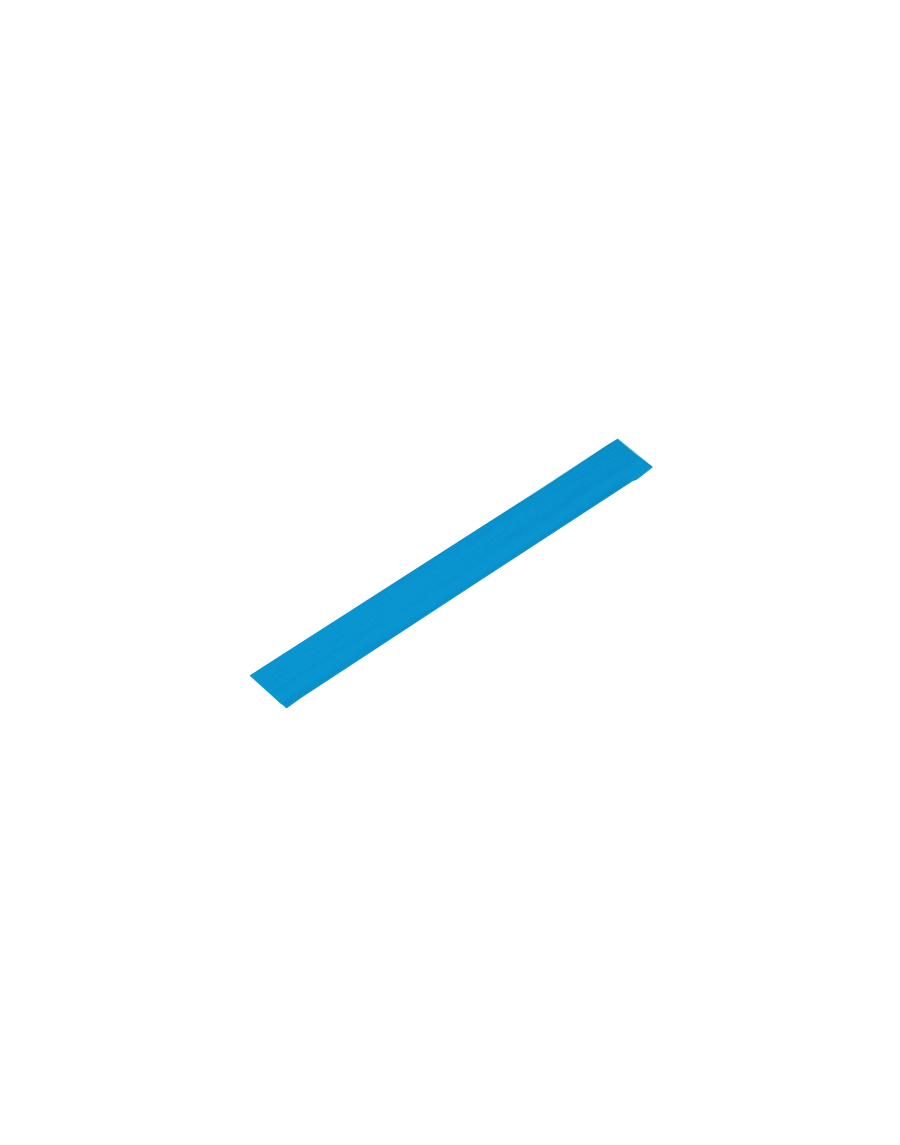 Vinyl slat (unit)