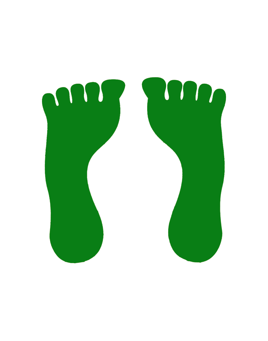 Vinyl foot marker (pair)