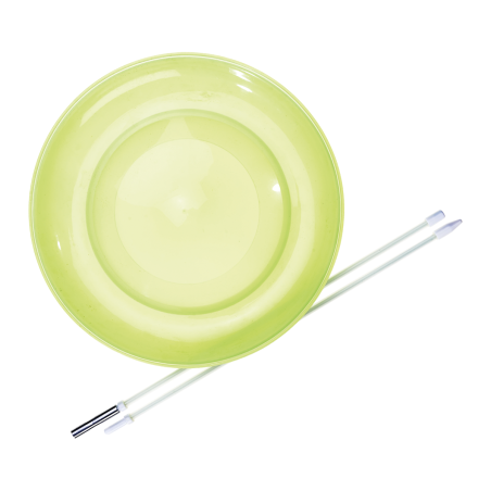Spinning plate + stick