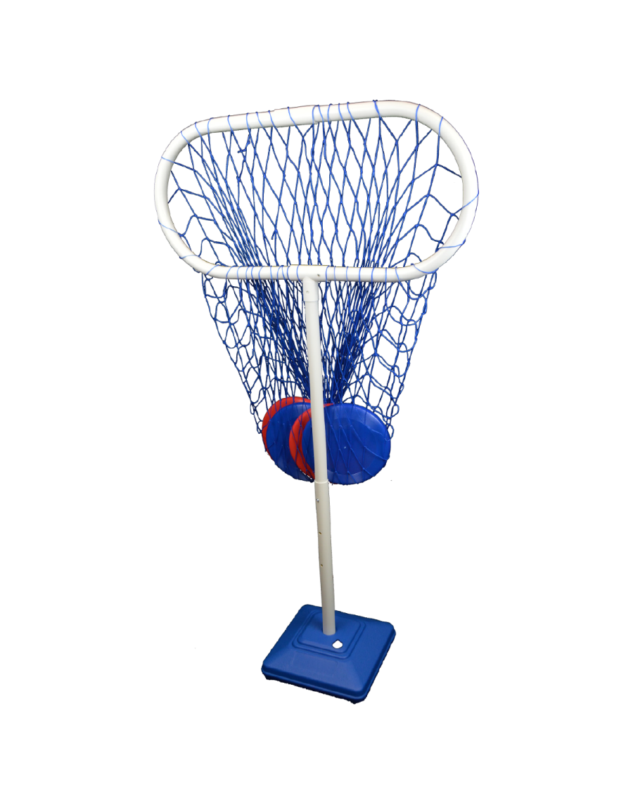 Goal for flying discus