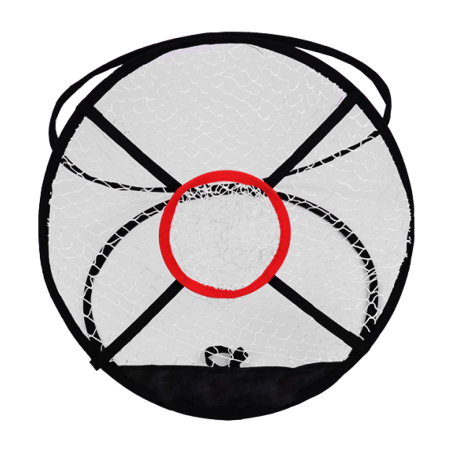 Introduction target