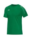 sport green